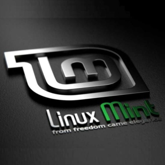 Linux mint mate флаг вместо букв